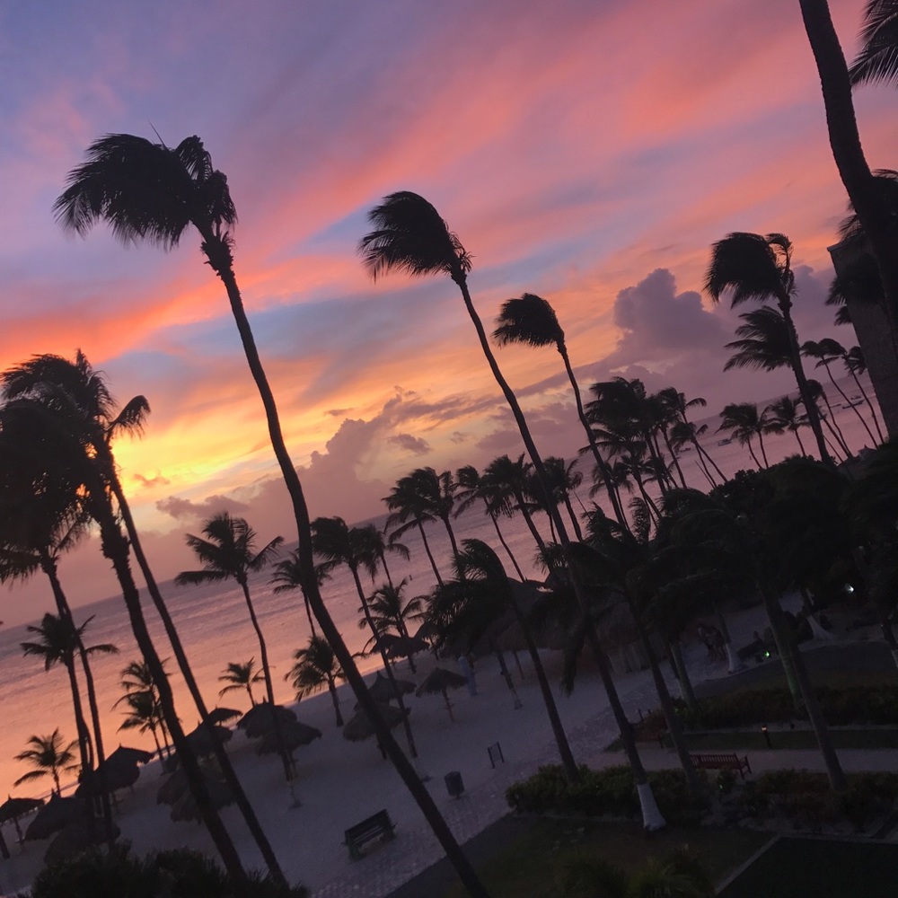 Meet your Posher, Courtney